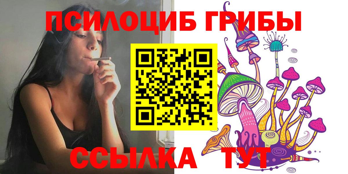 Галлюциногенные грибы Psilocybine cubensis Йошкар-Ола