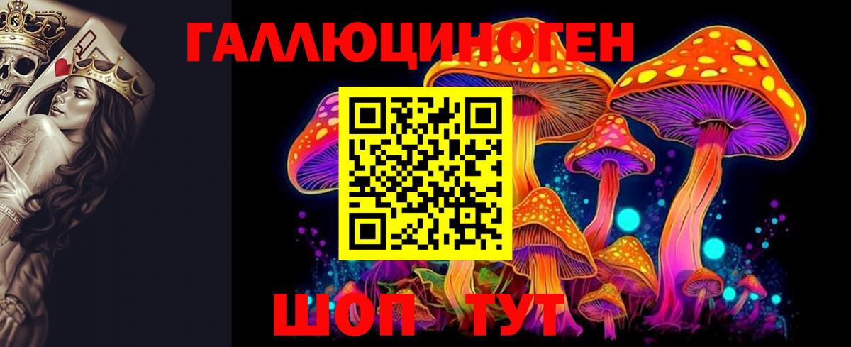 Псилоцибиновые грибы Psilocybine cubensis  купить  цена  Йошкар-Ола  Вход с VPN 